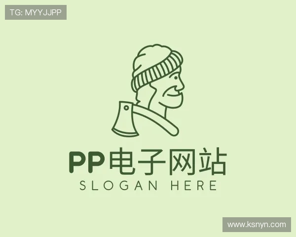 关于pp电子网站